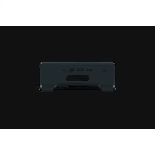 Otros accesorio informática Negro RC21-01680100-R3M1 RAZER