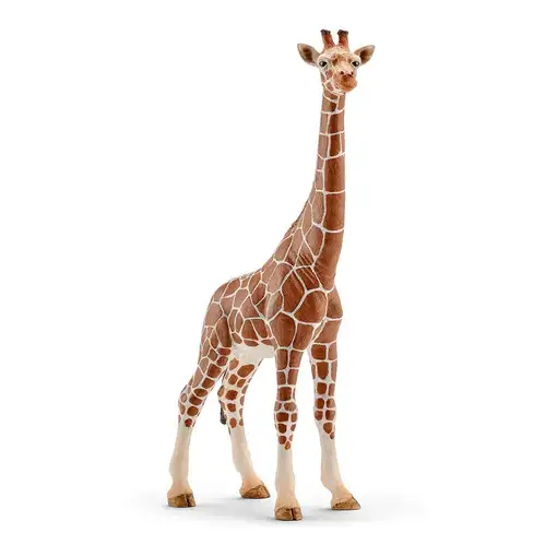 schleich Vida Salvaje Jirafa Hembra