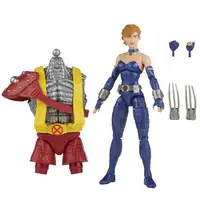 Marvel Legends Series Shadowcat Marvel Legends Series Shadowcat