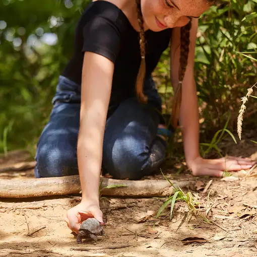 schleich Vida Salvaje 14824 figura de juguete para niños