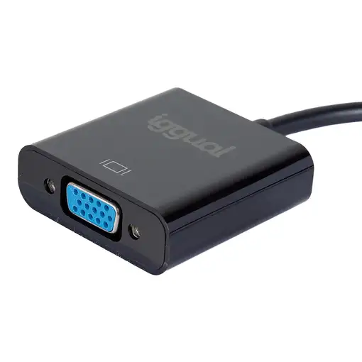 iggual Adaptador DisplayPort (M) a VGA (H)