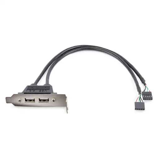 StarTech.com Cabezal Bracket Perfil Bajo de 2 puertos USB 2.0 con conexión a Placa