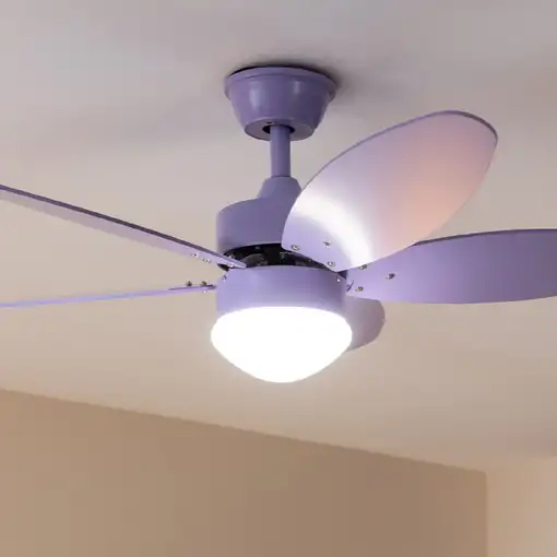Ventiladores techo Púrpura CECOTEC