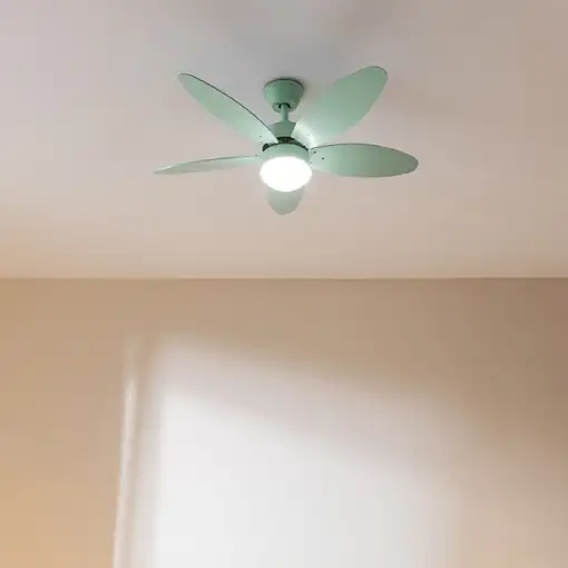 Ventiladores techo Color menta CECOTEC