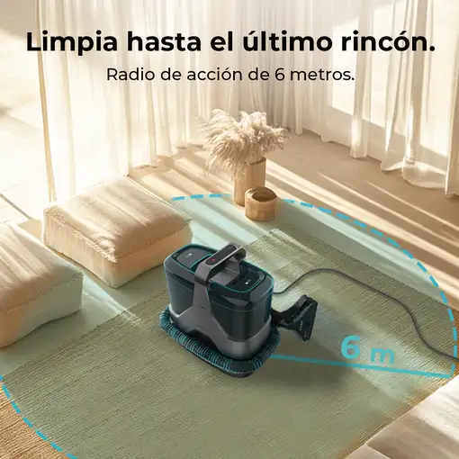 Cecotec Limpiador Aspirador de Tapicerías y Alfombras con Cable  ,Advance. 600W