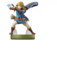 Nintendo Link (Tears of the Kingdom)