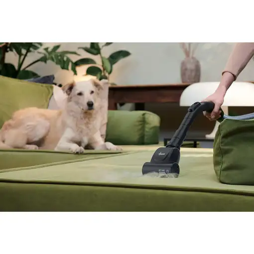 Hoover HP120PET 011 2 L Aspiradora cilíndrica Secar 700 W Sin bolsa