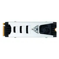 Patriot Memory PV553 2 TB M.2 PCI Express 5.0 NVMe 3D TLC NAND Patriot Memory PV553 2 TB M.2 PCI Express 5.0 NVMe 3D TLC NAND