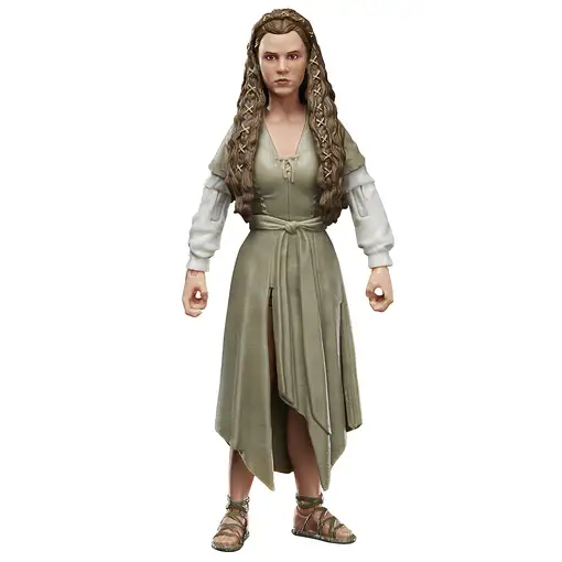 Star Wars The Black Series F43525X0 toy figure Star Wars The Black Series F43525X0 toy figure
