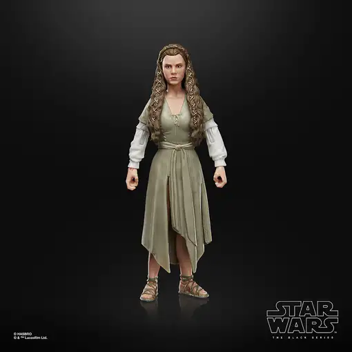 Star Wars The Black Series F43525X0 toy figure