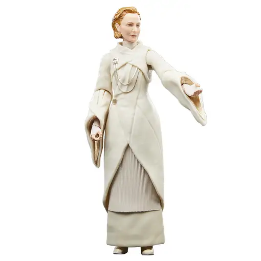 Star Wars The Black Series F55305X0 toy figure