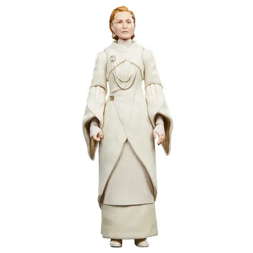 Star Wars The Black Series F55305X0 toy figure