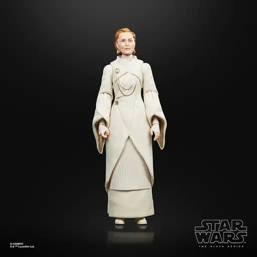 Star Wars The Black Series F55305X0 toy figure