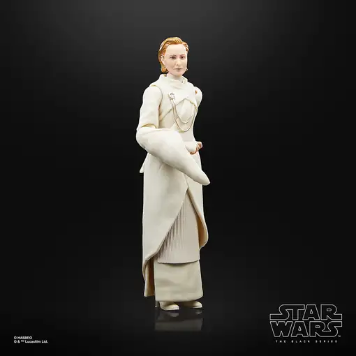 Star Wars The Black Series F55305X0 toy figure