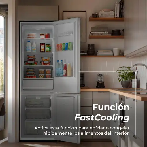 Frigorífico Combi EVVO F51