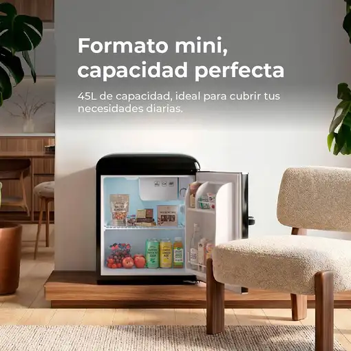 EVVO F20 Retro frigorífico Independiente 45 L Negro