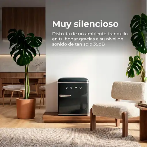 EVVO F20 Retro frigorífico Independiente 45 L Negro