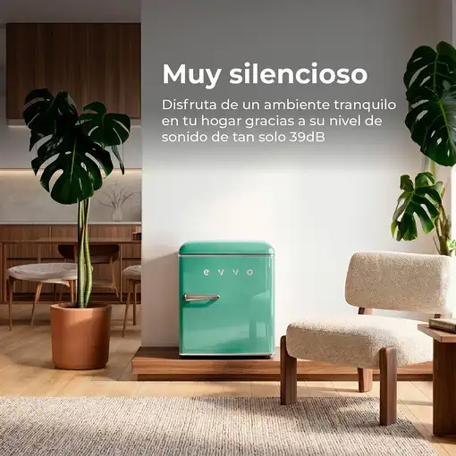 EVVO F20 Retro frigorífico Independiente 45 L Verde