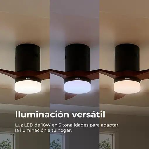 Ventiladores techo Plata EVVO