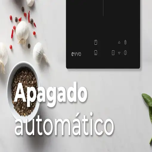 Placa de inducción 8435743901260 EVVO