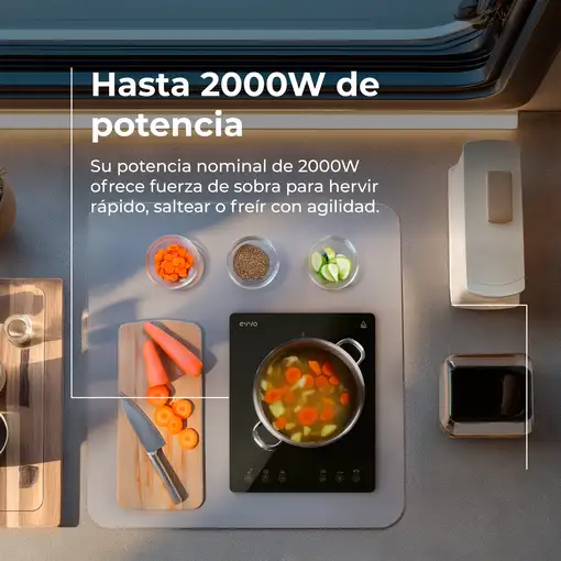 Placa de inducción Portátil V26 Trip