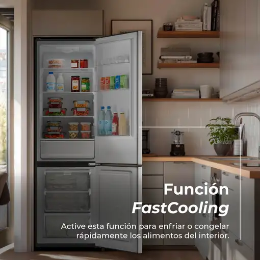 Frigorífico Combi EVVO F51x