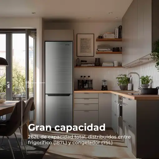Frigorífico Combi EVVO F51x