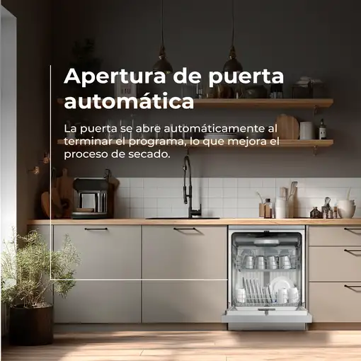 Lavavajillas EVVO D5YX