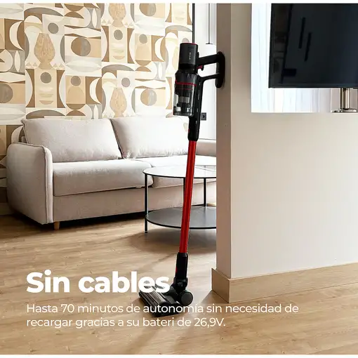 Aspirador escoba roja y negra, 500 W, 0,6 l, Ai36 EVVO