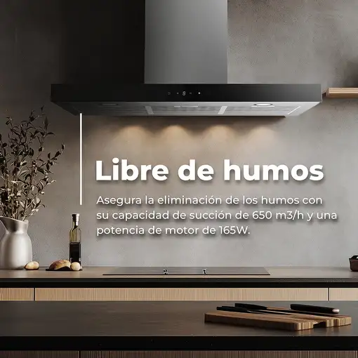 EVVO CE36 De pared Acero inoxidable 650 m³/h