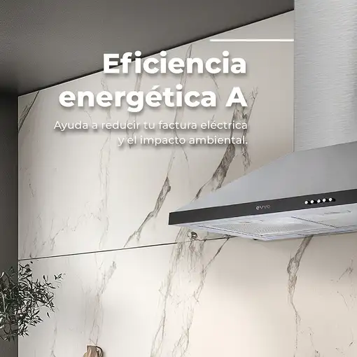 EVVO CE21 campana De pared Acero inoxidable 650 m³/h
