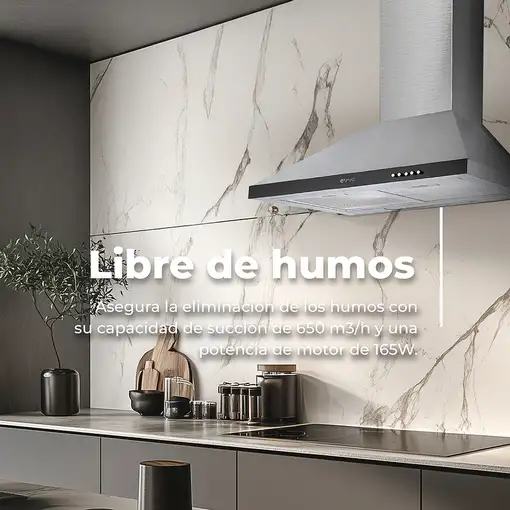 EVVO CE21 campana De pared Acero inoxidable 650 m³/h