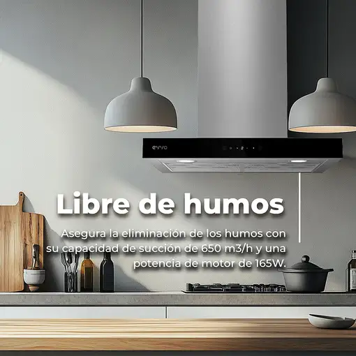 EVVO CE31 De pared Acero inoxidable 650 m³/h