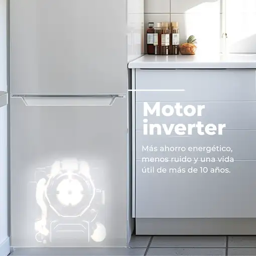 Frigorífico Combi EVVO F52X