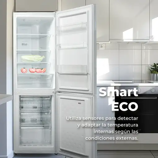 Frigorífico Combi EVVO F52X