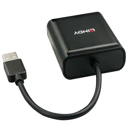 Lindy 42679 hub de interfaz USB 2.0 Negro