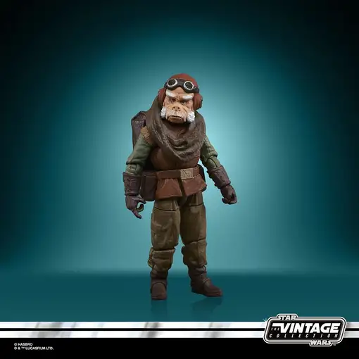 Hasbro F44665X0 toy figure