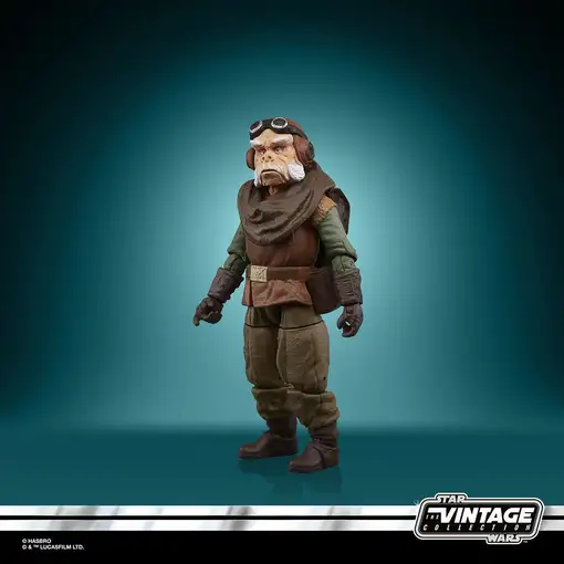 Hasbro F44665X0 toy figure