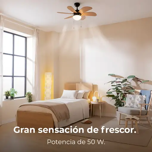 Ventiladores techo Negro CECOTEC