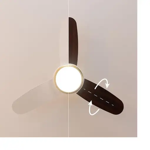 Ventiladores techo Oro CECOTEC