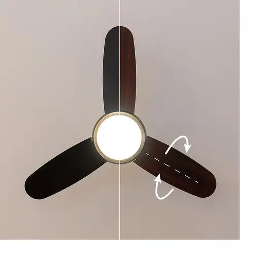 Ventiladores techo Negro CECOTEC