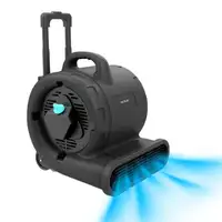 Cecotec Soplador de Suelo - Ventilador de Secado Blowindustry 6000 Flowfloor. 600W Cecotec Soplador de Suelo - Ventilador de Secado Blowindustry 6000 Flowfloor. 600W