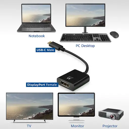 Ewent EW9825 adaptador de cable de vídeo 0,15 m USB Tipo C DisplayPort Negro
