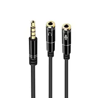 Ewent EC1641 cable de audio 0,3 m 3,5mm 2 x 3.5mm Negro