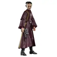 Star Wars The Black Series Padmé Amidala Star Wars The Black Series Padmé Amidala