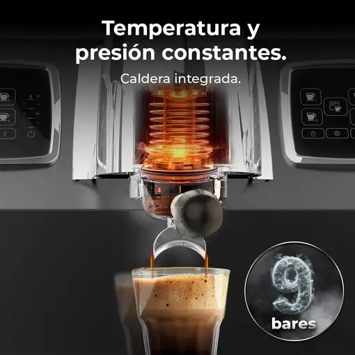 Baristeo Regina