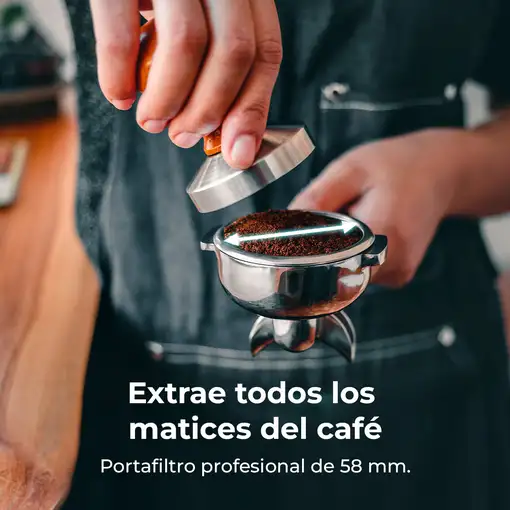 Baristeo Regina