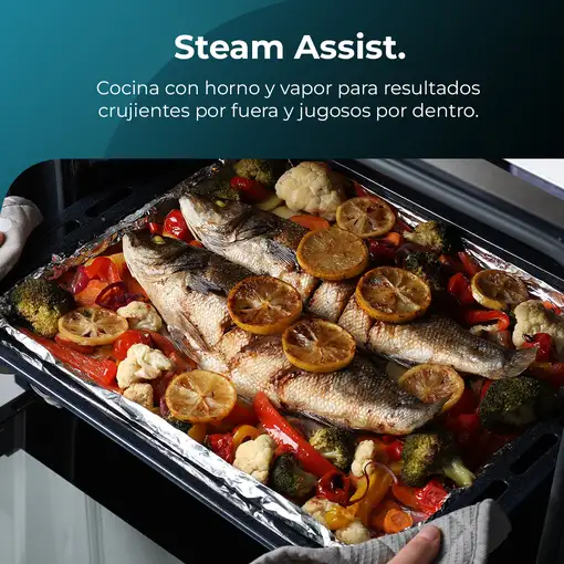 Horno 77 L Negro 02805 CECOTEC