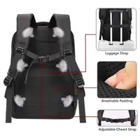 Ewent EW2526 maletines para portátil 39,6 cm (15.6'') Mochila Negro