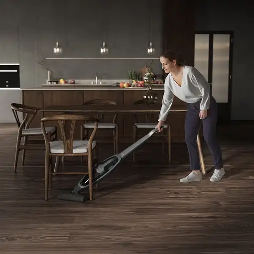 Aspiradoras de escoba sin bolsa 0.3 L Negro 900 402 207 AEG